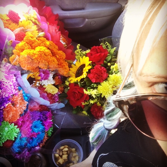 Meet your Posher, Rae - Picture 1 of 1